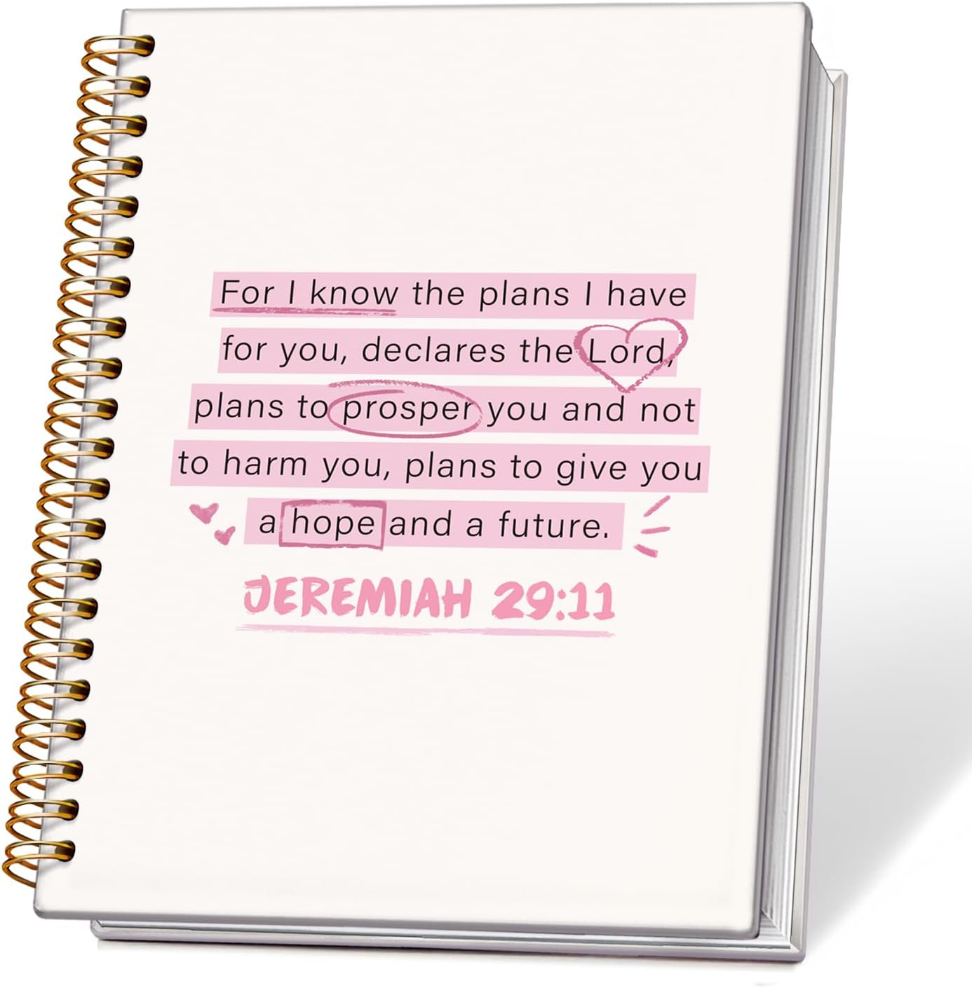 Pink Jeremiah 29:11 Journal